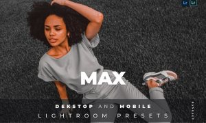 Max Desktop and Mobile Lightroom Preset