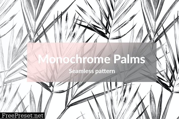 Monochrome Palms WM3DN5R