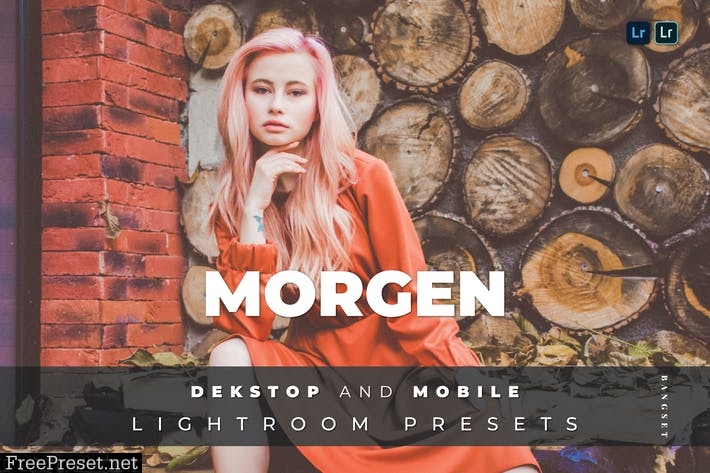 Morgen Desktop and Mobile Lightroom Preset