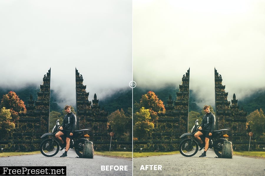 Moss Tone Action & Lightrom Presets