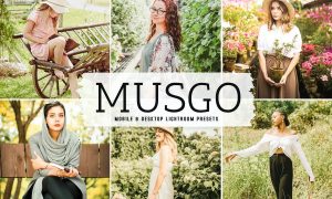 Musgo Mobile & Desktop Lightroom Presets