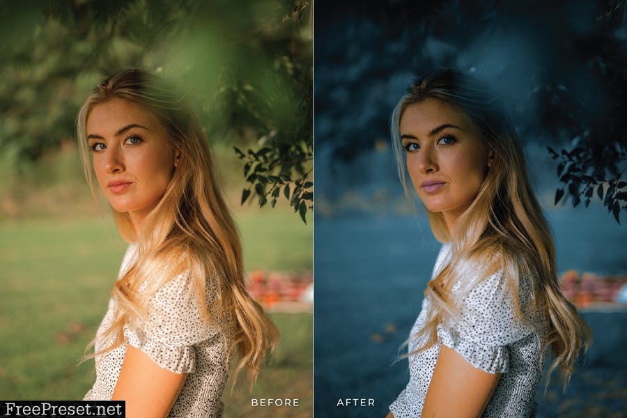 Naliave Mobile and Desktop Lightroom Presets