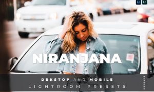 Niranjana Desktop and Mobile Lightroom Preset