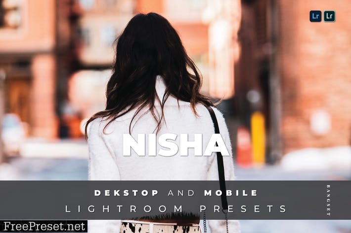 Nisha Desktop and Mobile Lightroom Preset