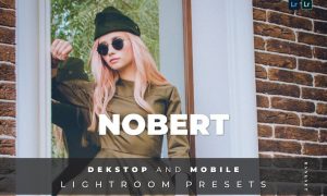 Nobert Desktop and Mobile Lightroom Preset