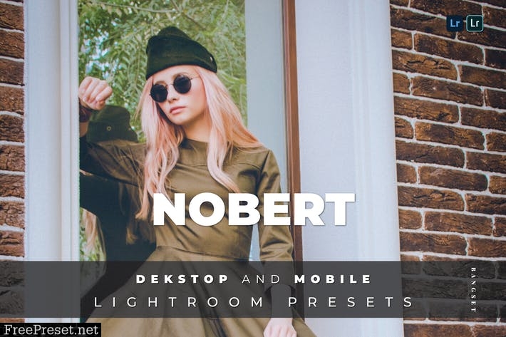 Nobert Desktop and Mobile Lightroom Preset