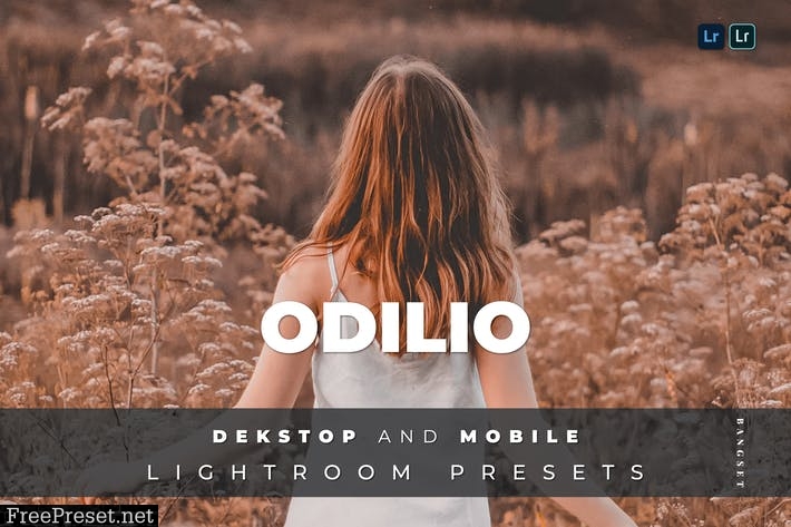 Odilio Desktop and Mobile Lightroom Preset