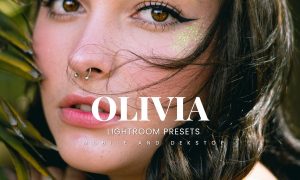 Olivia Lightroom Presets Dekstop and Mobile