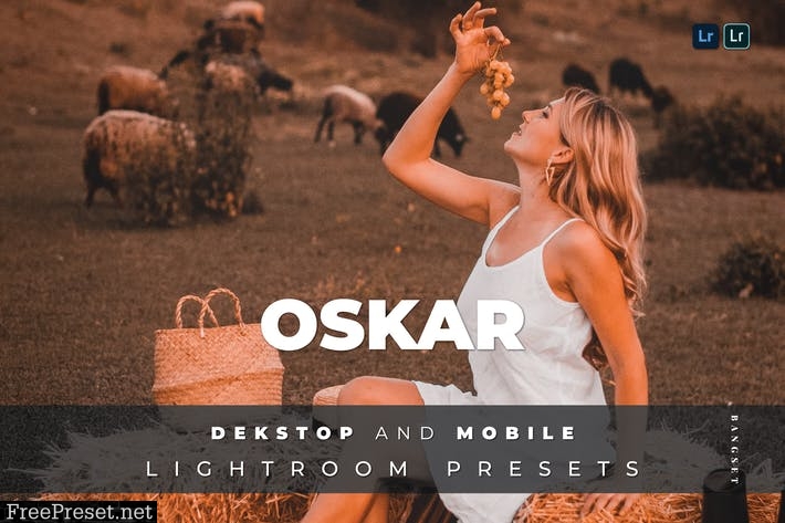 Oskar Desktop and Mobile Lightroom Preset