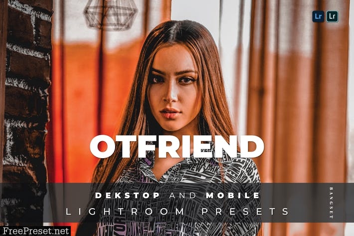 Otfriend Desktop and Mobile Lightroom Preset