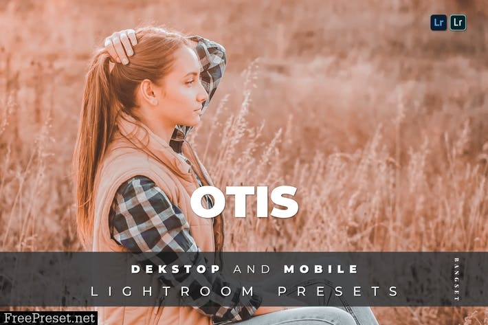Otis Desktop and Mobile Lightroom Preset
