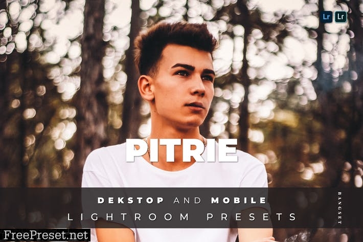 Pitrie Desktop and Mobile Lightroom Preset