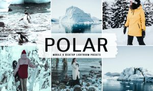 Polar Mobile & Desktop Lightroom Presets