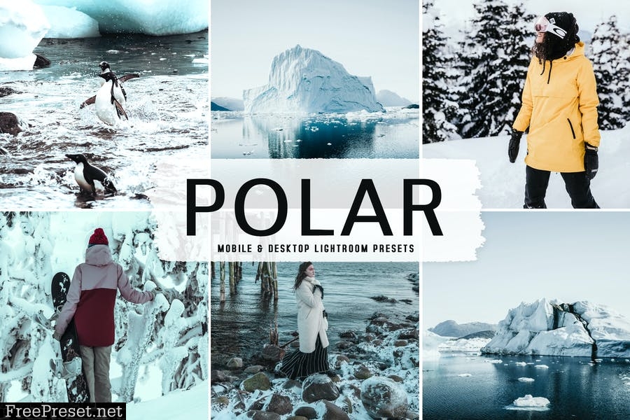 Polar Mobile & Desktop Lightroom Presets