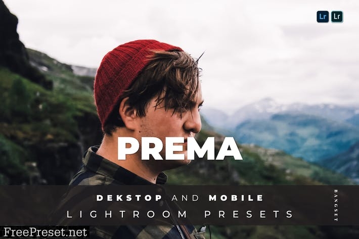 Prema Desktop and Mobile Lightroom Preset