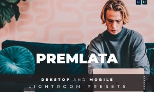 Premlata Desktop and Mobile Lightroom Preset