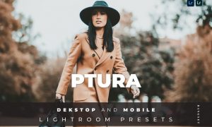 Ptura Desktop and Mobile Lightroom Preset