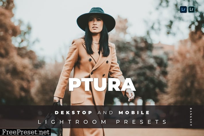 Ptura Desktop and Mobile Lightroom Preset