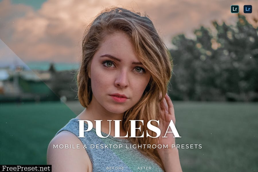 Pulesa Mobile and Desktop Lightroom Presets