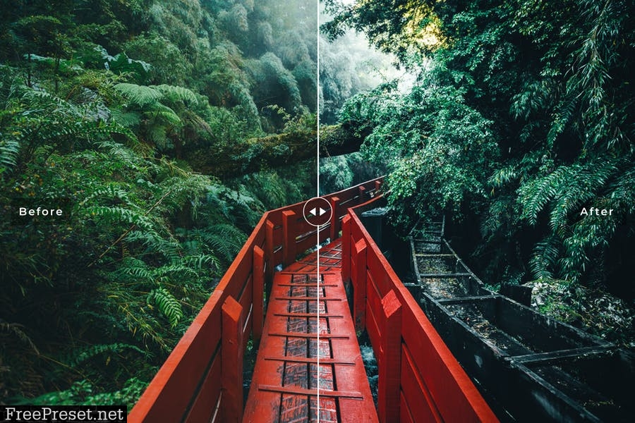 Rain Forest Mobile & Desktop Lightroom Presets