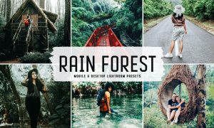 Rain Forest Mobile & Desktop Lightroom Presets