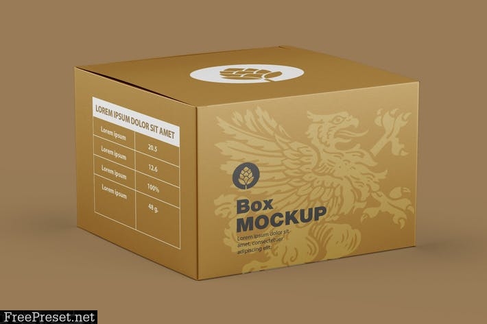 Square Cardboard Box Mockup X52DNW3