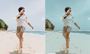 Summer Vibes Action & Lightrom Presets