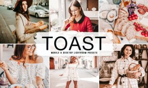 Toast Mobile & Desktop Lightroom Presets