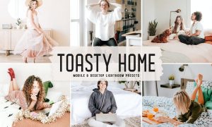 Toasty Home Mobile & Desktop Lightroom Presets