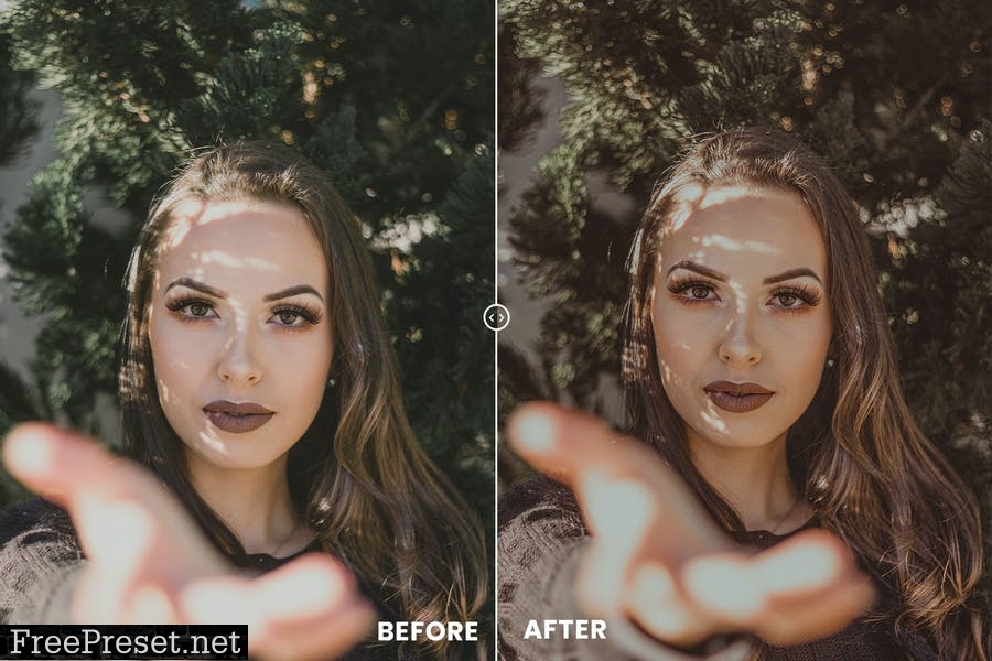 Twilight Tones Action & Lightroom Preset