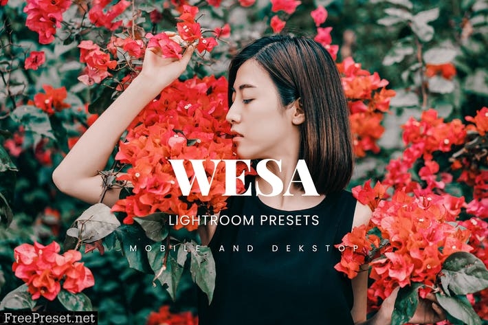 Wesa Lightroom Presets Dekstop and Mobile