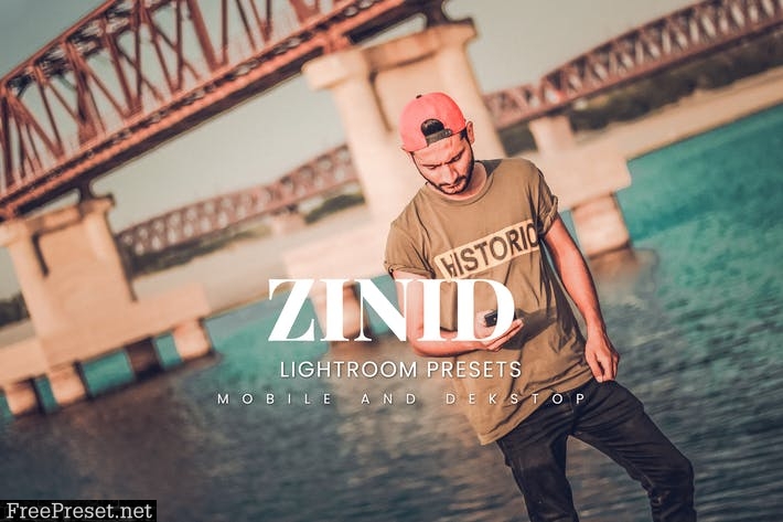 Zinid Lightroom Presets Dekstop and Mobile