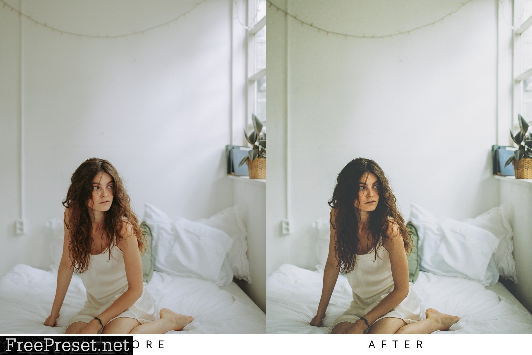 100+ Lightroom Presets Bundle 6222705