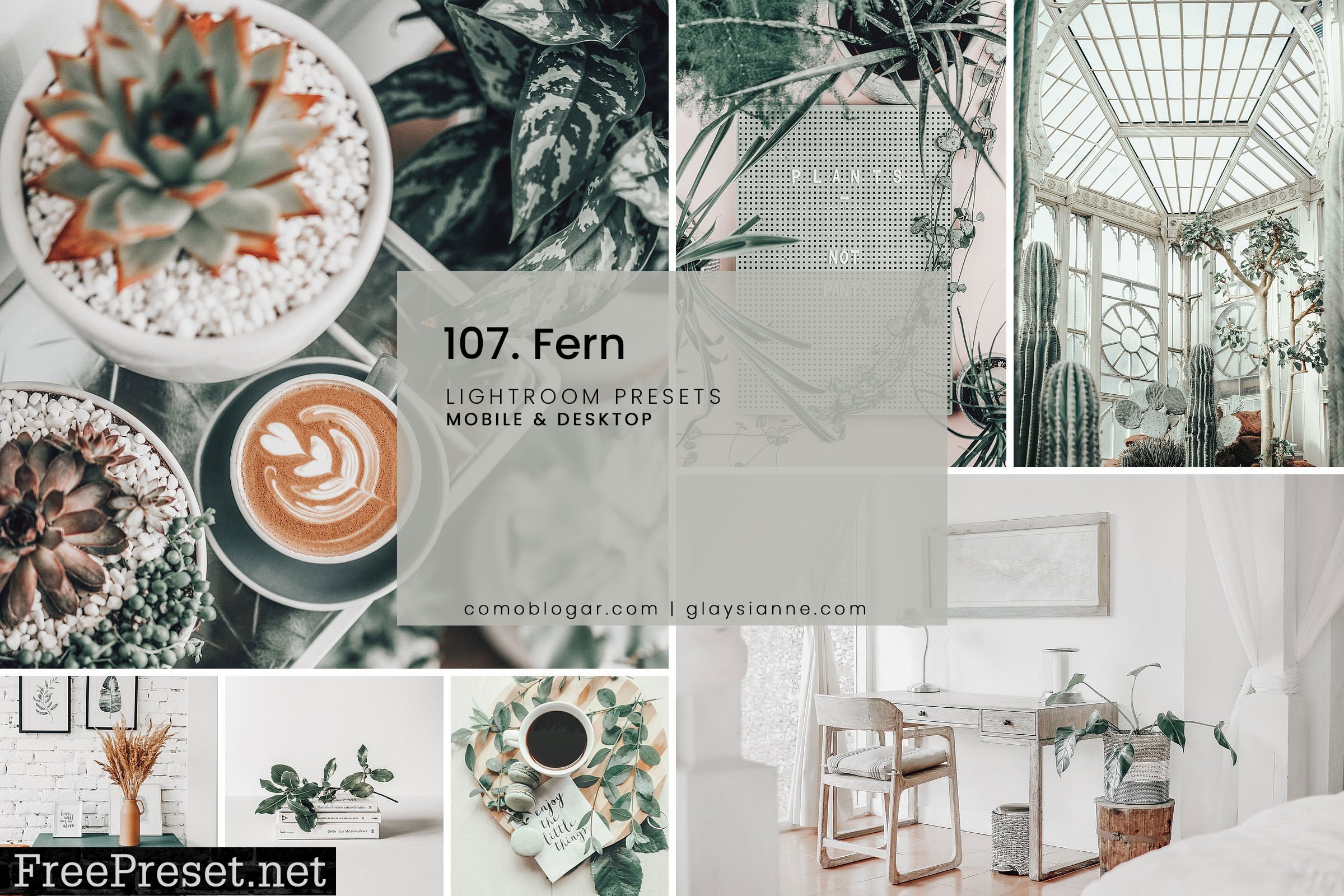 107. Fern Presets 5741108