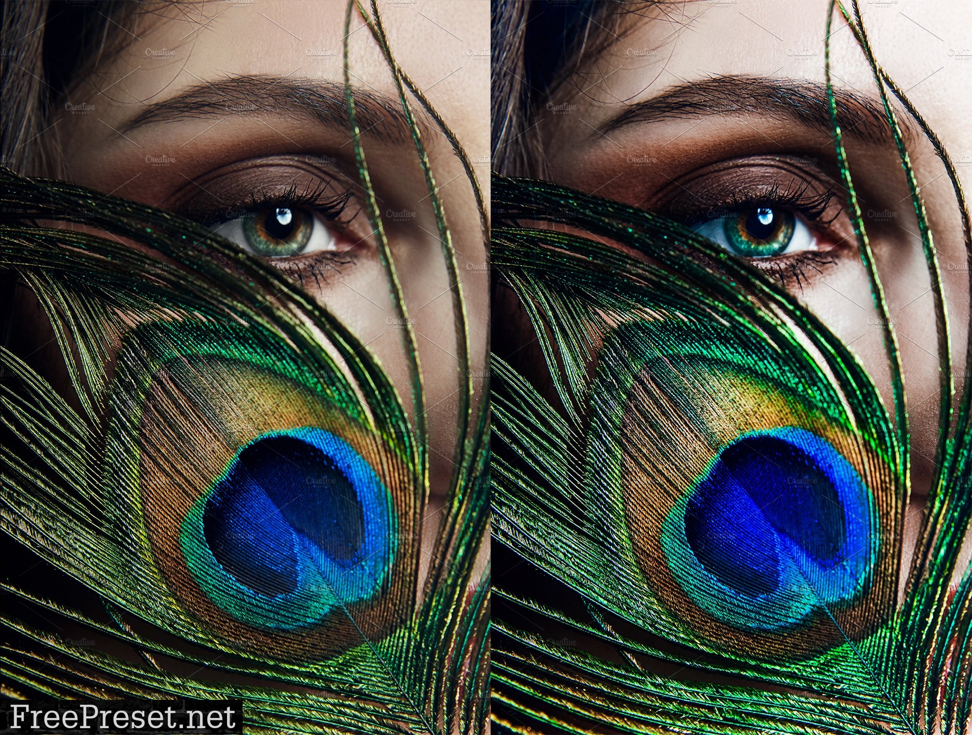 10xLightroom Presets Peacock Presets 6441086