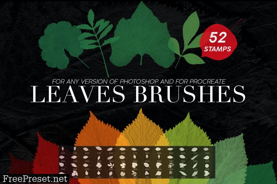 52 Leaves Photoshop Stamp Brushes WCY9ZCQ