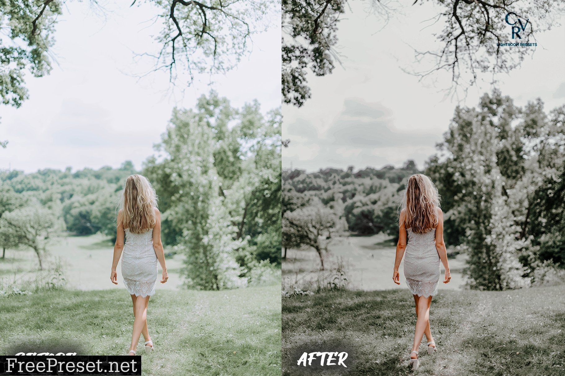 6 Earthy Tone Lightroom Presets 6321501