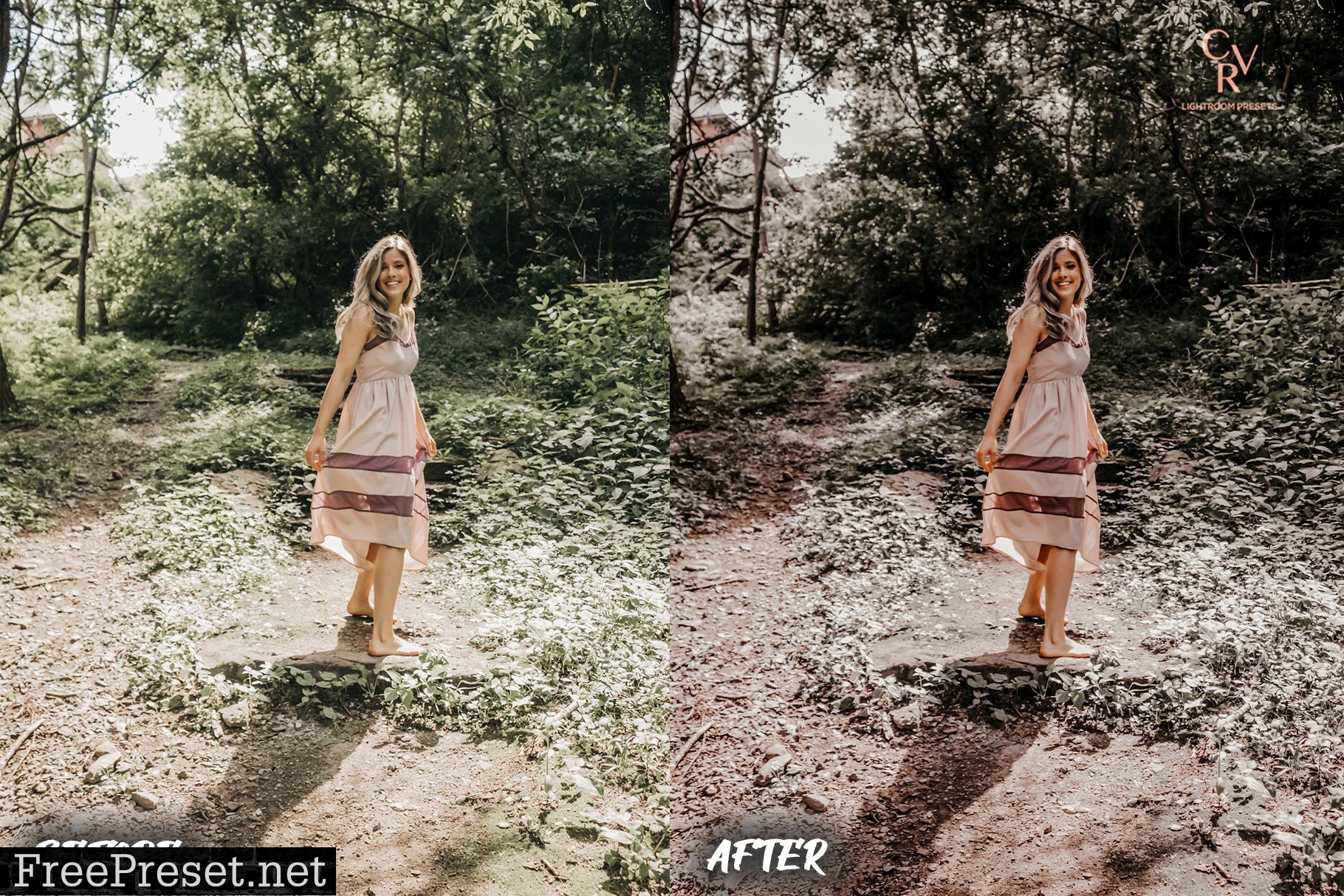 6 Earthy Tone Lightroom Presets 6321501