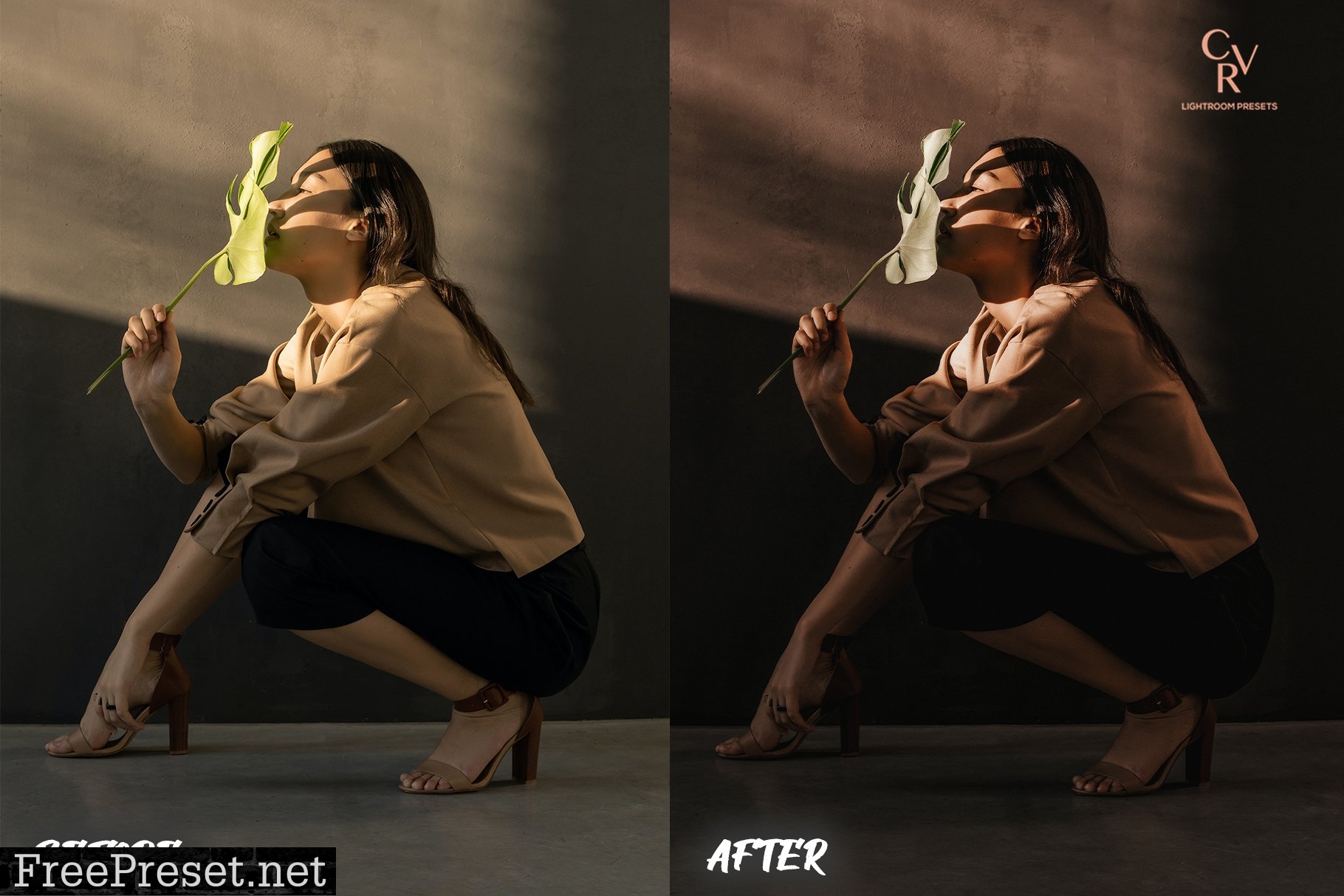 6 Earthy Tone Lightroom Presets 6321501