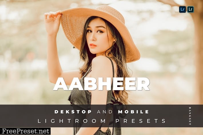 Aabheer Desktop and Mobile Lightroom Preset