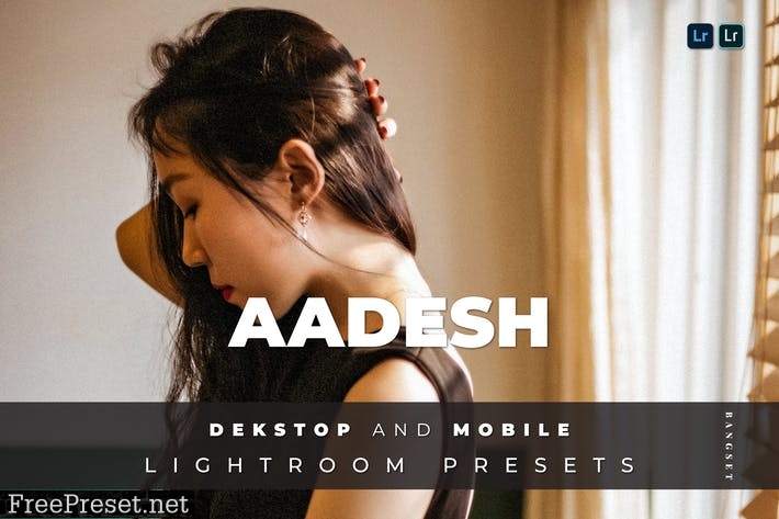 Aadesh Desktop and Mobile Lightroom Preset