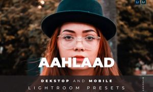 Aahlaad Desktop and Mobile Lightroom Preset