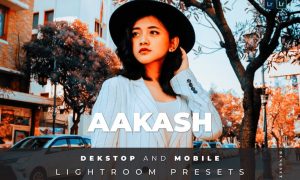 Aakash Desktop and Mobile Lightroom Preset