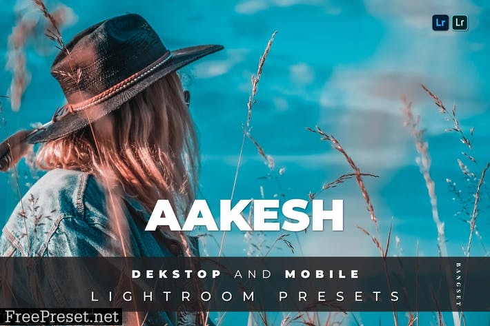 Aakesh Desktop and Mobile Lightroom Preset
