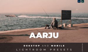 Aarju Desktop and Mobile Lightroom Preset