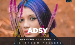 Adsy Desktop and Mobile Lightroom Preset