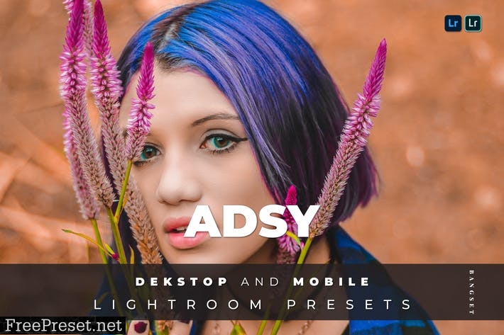 Adsy Desktop and Mobile Lightroom Preset