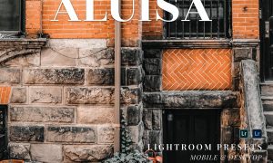 Aluisa Mobile and Desktop Lightroom Presets