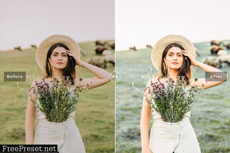 Amora Mobile & Desktop Lightroom Presets