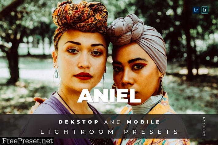 Aniel Desktop and Mobile Lightroom Preset